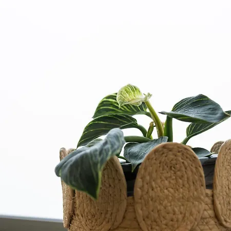 カントリーハウス Casas Do Freixial - Casa Flores Fundão