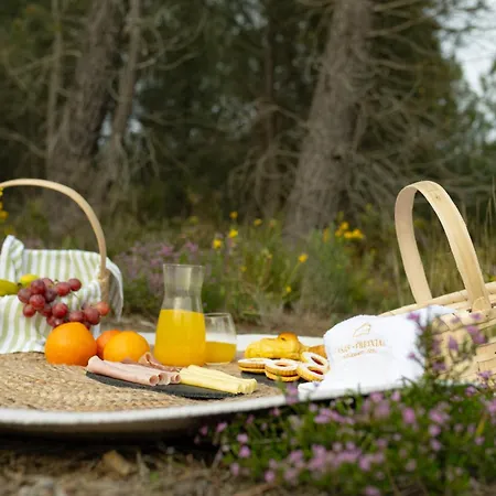 Casas Do Freixial - Casa Flores *