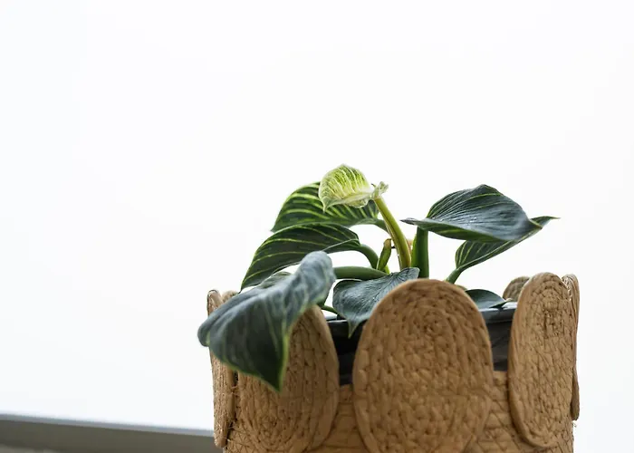 カントリーハウス Casas Do Freixial - Casa Flores Fundão