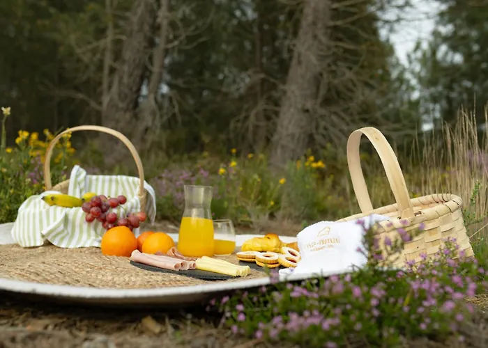 Casas Do Freixial - Casa Flores *